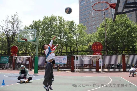 义务篮球训练的最佳实践方案_0